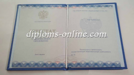 Аттестат 11 классов 2014-2025 Аттестат 11 классов 2014-2025