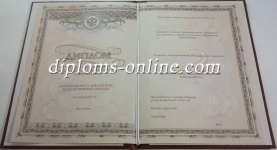 Интернатура Интернатура